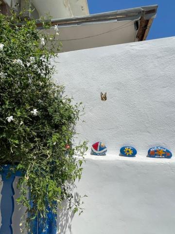 Marena 1 Aparthotel Μακρύγιαλος Εξωτερικό φωτογραφία